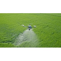 DJI Agras T25P en pulvérisation au-dessus d'une parcelle
